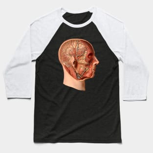 Medical illustration from atlas of human anatomy Baseball T-Shirt